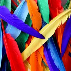 Quill Feathers Assorted 25pk