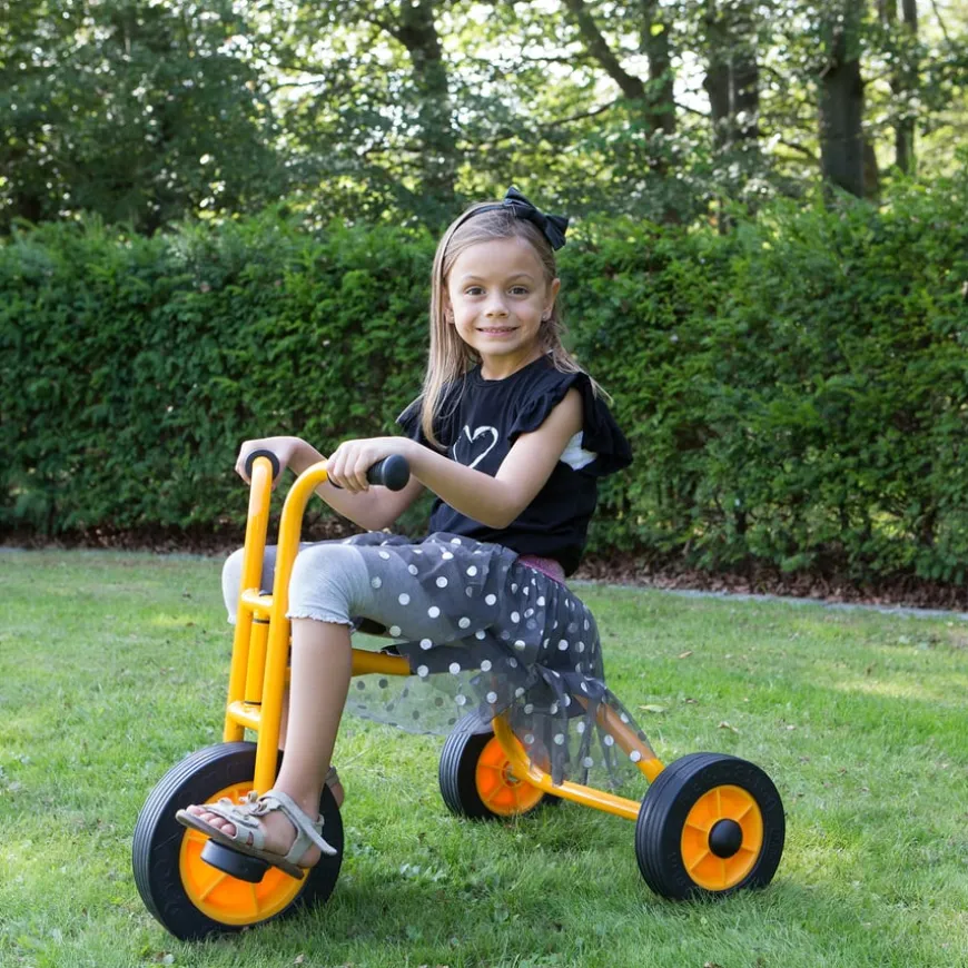 Rabo Large Trike