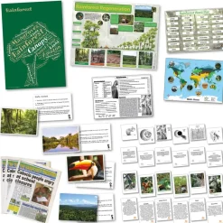 Rainforest Curriculum Pack