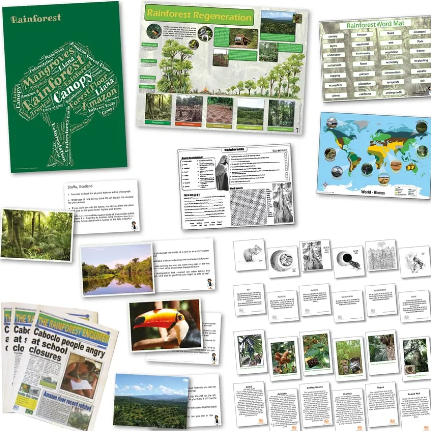Rainforest Curriculum Pack