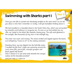 Reading Comprehension Cards Year 6