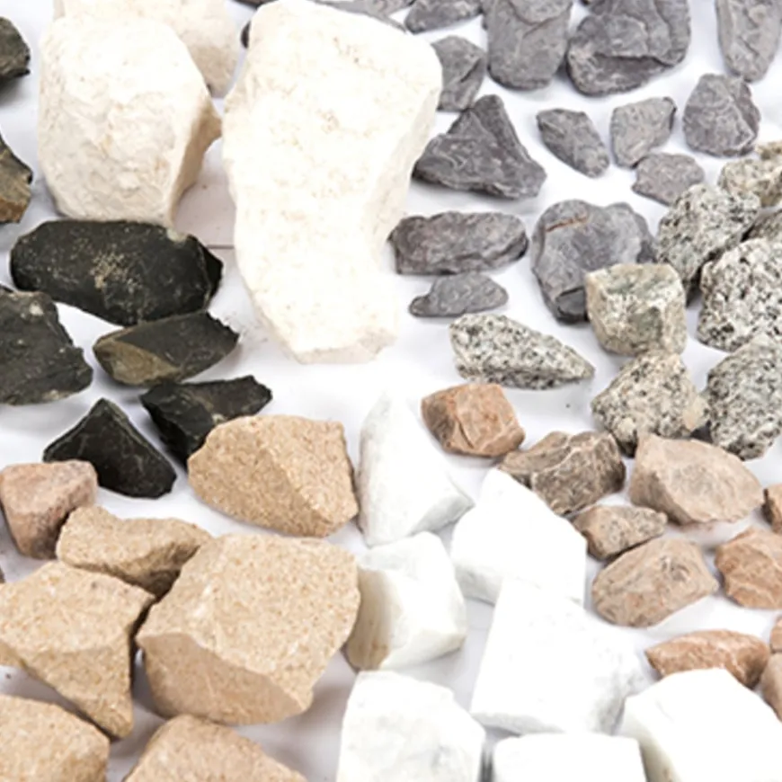 Rock Samples 8pk