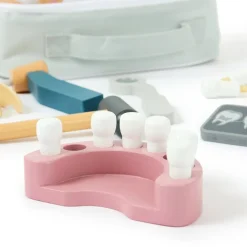 Role Play Dentist Play Set
