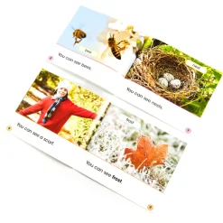 Seasons Book Pack