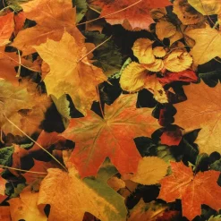 Seasons Themed Bean Bags Floor Cushions
