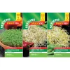 Seeds To Eat In 1 Week - 3pk