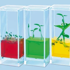 See Plants Grow Laboratory