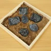 Sensory Fossil Replica Set 6pcs