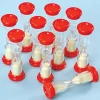 Small 1 Minute Sand Timers 10pk