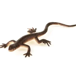 Small World Plastic Reptiles 60pk