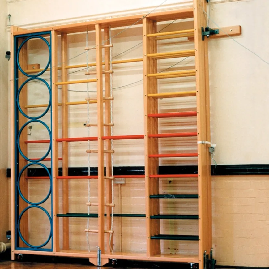 Spectrum Gym Climbing Frame