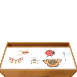 Squidgy Light Box Accessory Kit