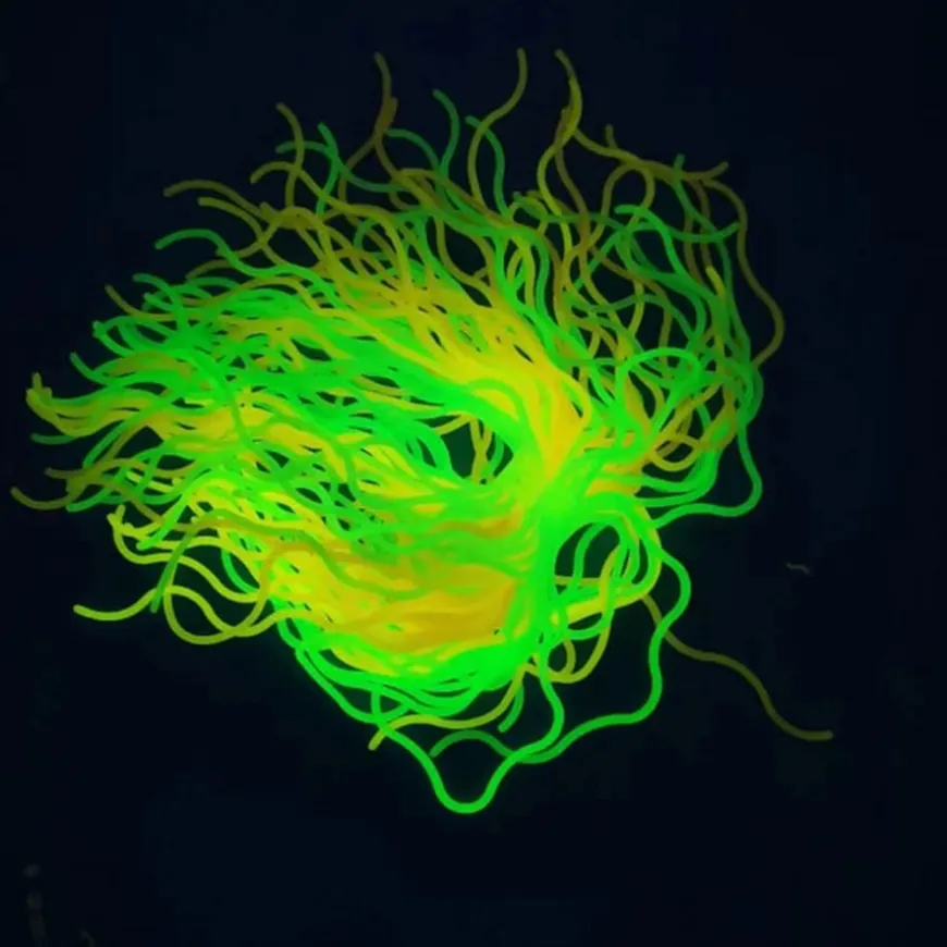 Stretch and Glow Fidget Spaghetti