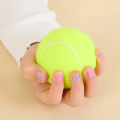Tennis Balls and Bucket