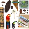 The Rainforest Resource Box and Curriculum Pack