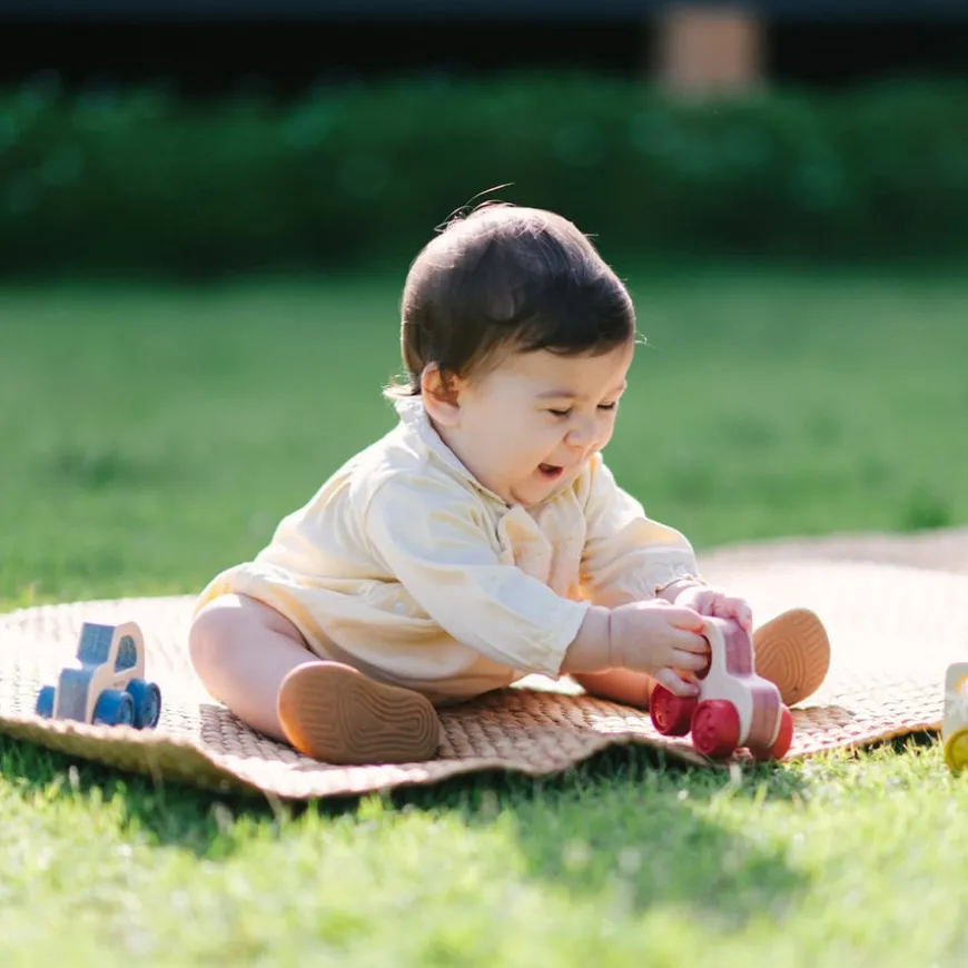 Timber Trail Wooden Vehicles Set 3pk
