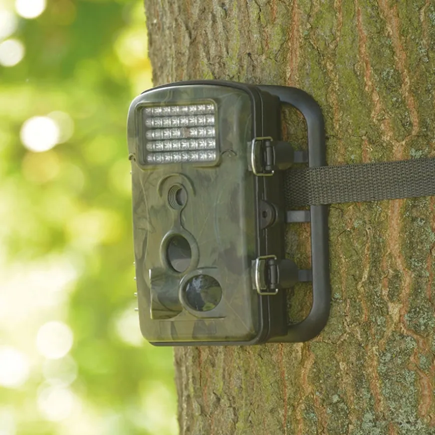 Time Lapse And Motion Activated Camera