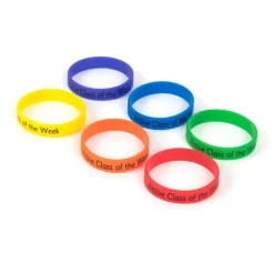 TTS Active Champion of the Year Reward Wristbands