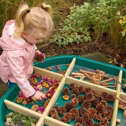 TTS Active World Tuff Tray Sorting Dividers