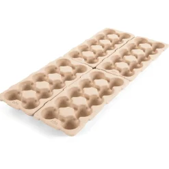 TTS Egg Box Maths Set