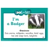 TTS Food Web - Activity Cards