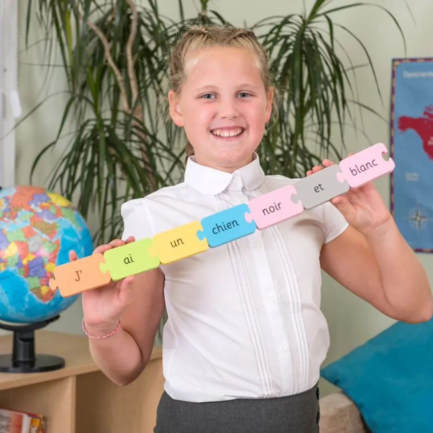 TTS French Sentence Tub - Pets and Colours