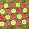 TTS Giant Sparkle Foam Counters 0-20