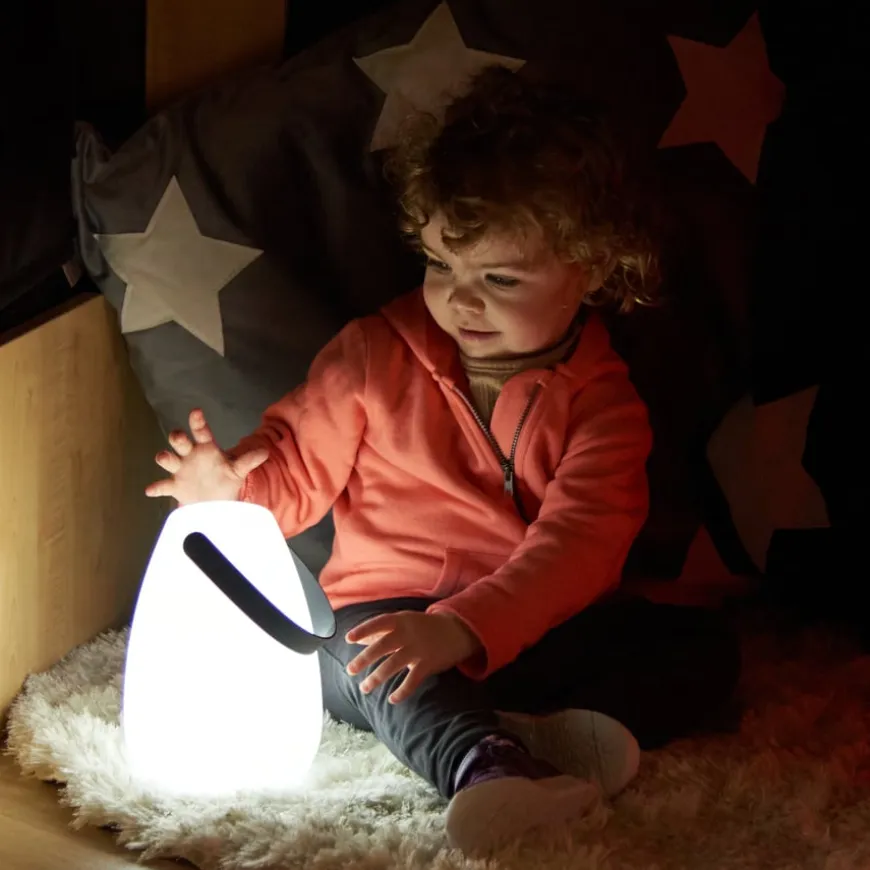 TTS Light up Lanterns