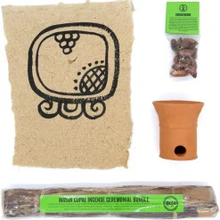TTS Maya Archaeo-Box Artefact Collection KS2