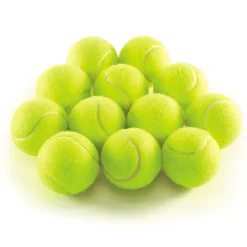 TTS Mini Tennis Development Kit