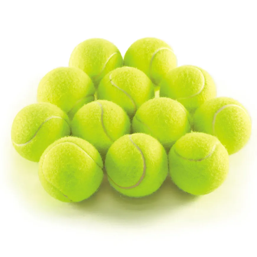 TTS Mini Tennis Development Kit