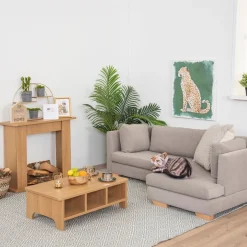 TTS Modern Living Corner Sofa