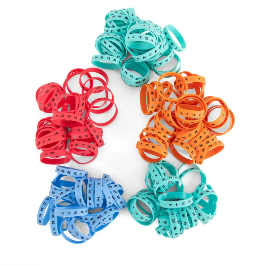 TTS Multiplication Wristbands