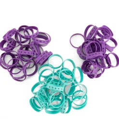TTS Multiplication Wristbands