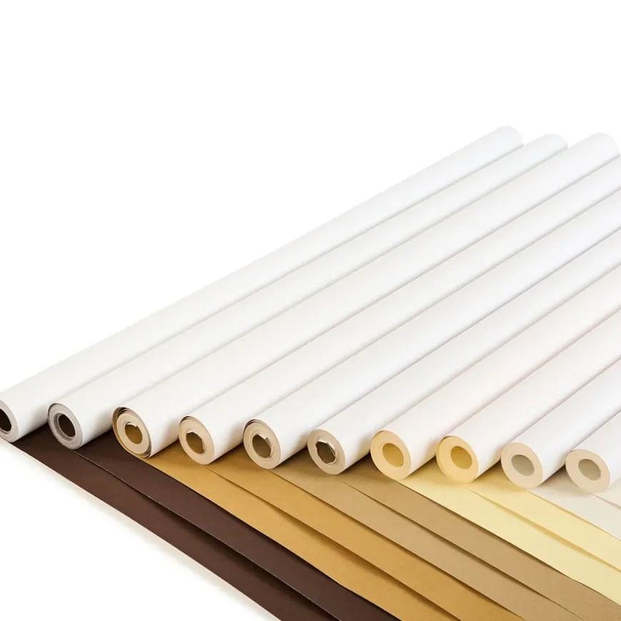 TTS Neutral Poster Paper Roll 85gsm 760mmx10m 10pk