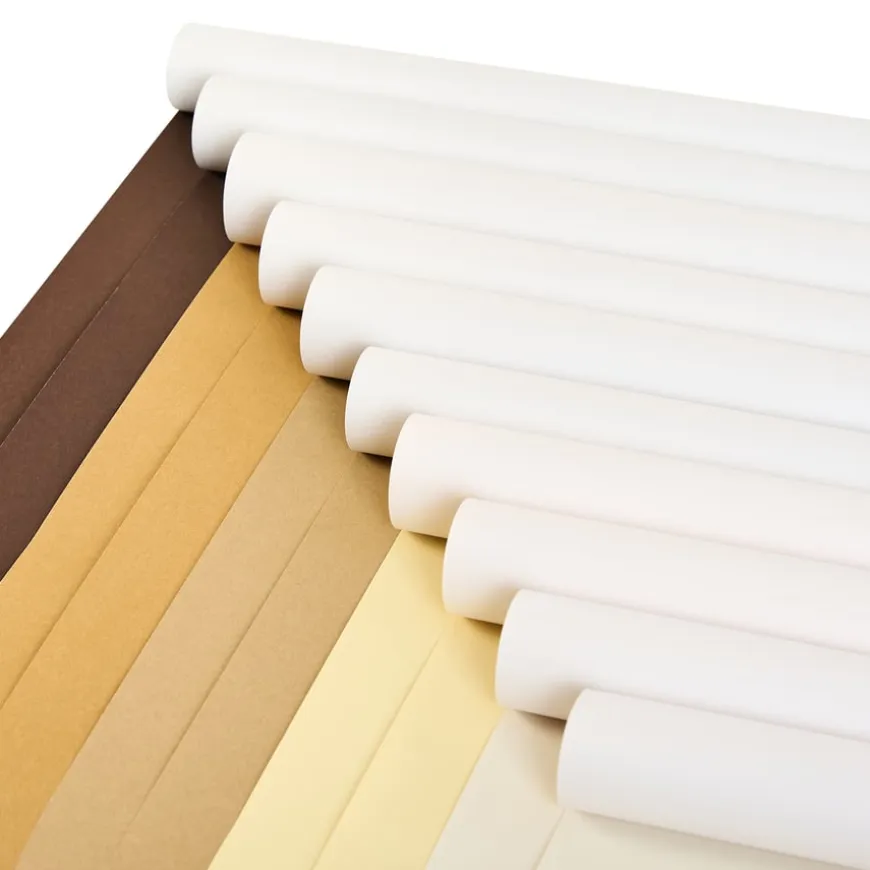 TTS Neutral Poster Paper Roll 85gsm 760mmx10m 10pk