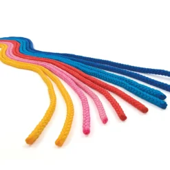 TTS Primary Skipping Playground Kit