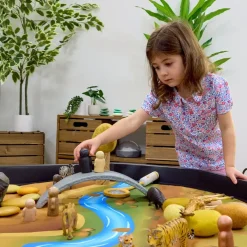 TTS Recordable Small World Environment Scape Play Mat Bundle