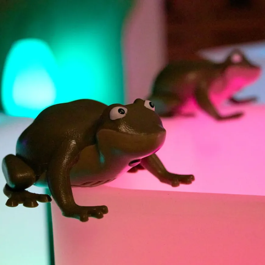 TTS Recordable Talking Frogs 10pk