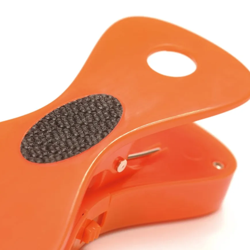 TTS Recordable Talking Pegs