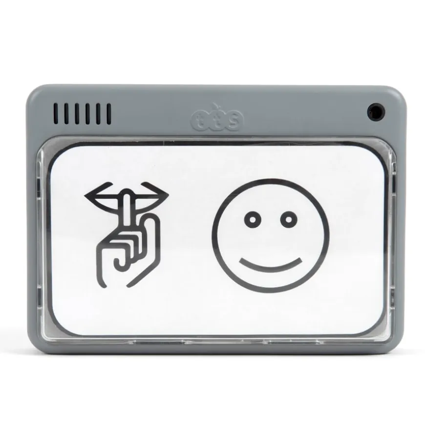 TTS Smart Motion Sensing Reminder