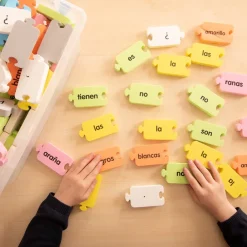 TTS Spanish Sentence Tub Classroom and Colours