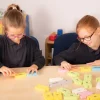 TTS Spanish Sentence Tub Pets and Colours