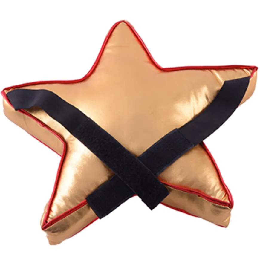 TTS Star Pupil Reward Chair Back