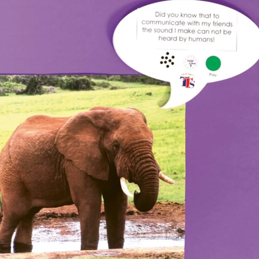 TTS Talk-time A5 Recordable Speech Bubble