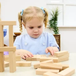 TTS Wooden Building Bricks