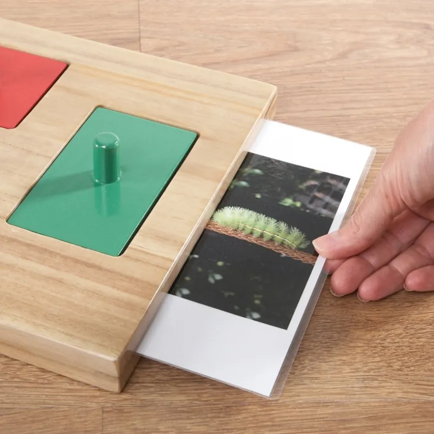 TTS Wooden Jigsaw Explorer Image Board