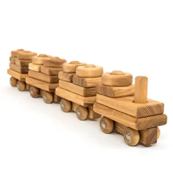 TTS Wooden Toddler Train with Building Blocks