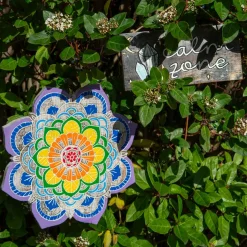 Wellbeing and Calmness Pack with Notes