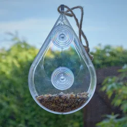 Window Bird Feeder